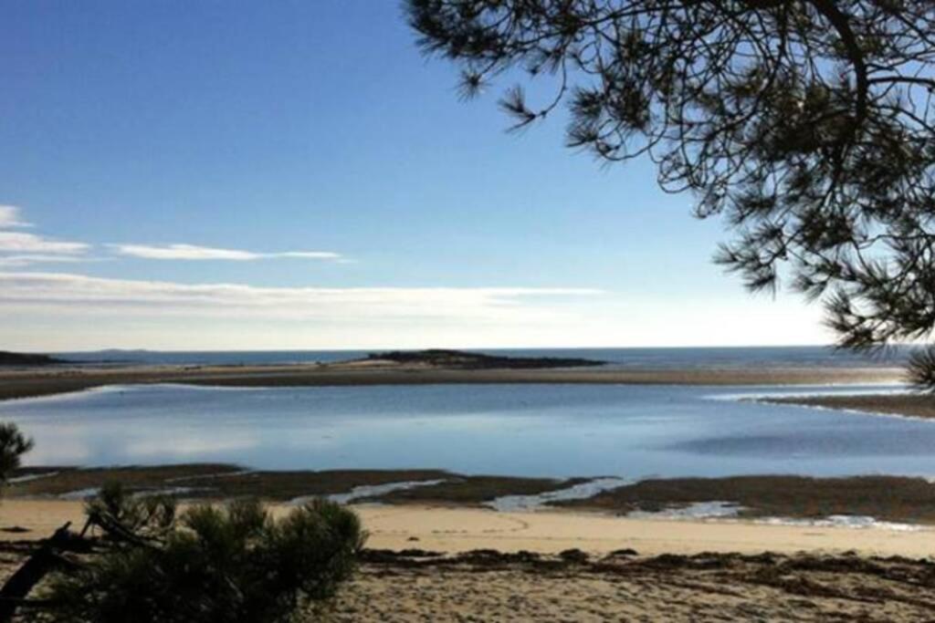 Maison Avec Jardin Clos. Animaux Acceptes - Wifi - Proche Plages De La Trinite Sur Mer Et Carnac Εξωτερικό φωτογραφία